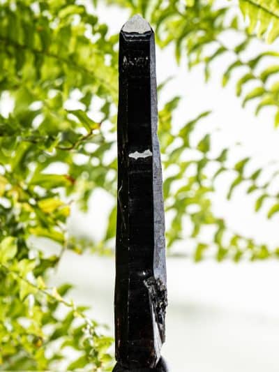 Inner Mongolian White Capped Deep Smoky Morion Laser Quartz Crystal with Specularite