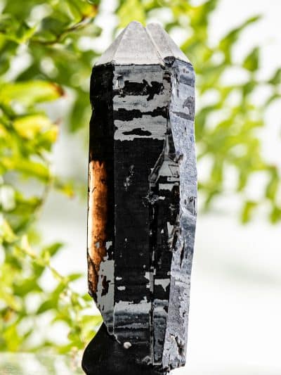 Inner Mongolian White Capped Deep Smoky Morion Laser Quartz Crystal with Specularite