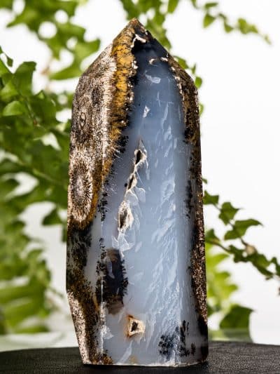 Heavily Rutilated Dendritic Quartz/Agate Polished Point