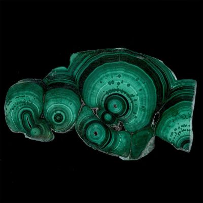 Polished Malachite Slice With Bulls Eye Form