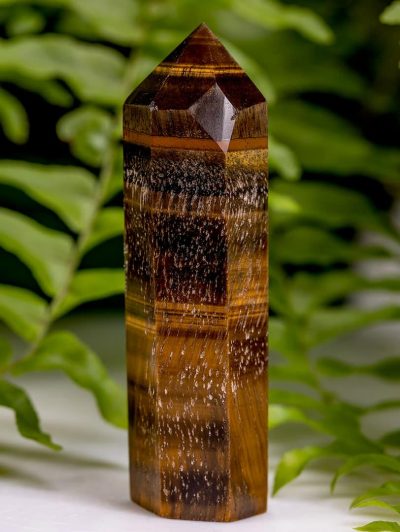 Tiger Eye Point