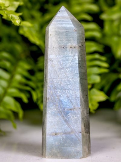 Polished Blue Flash Moonstone Point