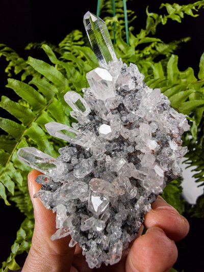 Colombian Green Fuchsite Included Quartz Cluster