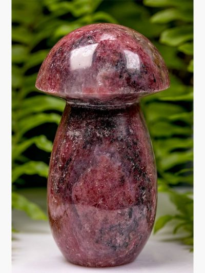 Large High Grade Rhodonite Polished Mushroom