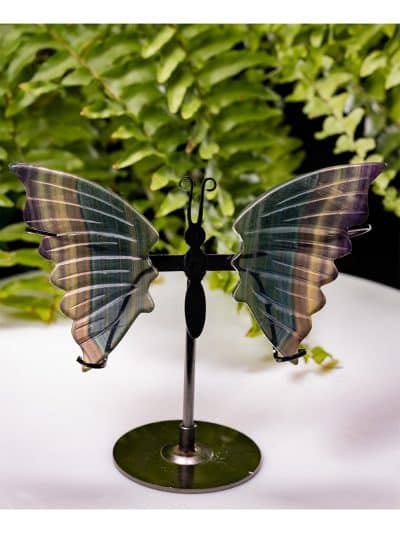 Polished Rainbow Fluorite Butterfly Carving
