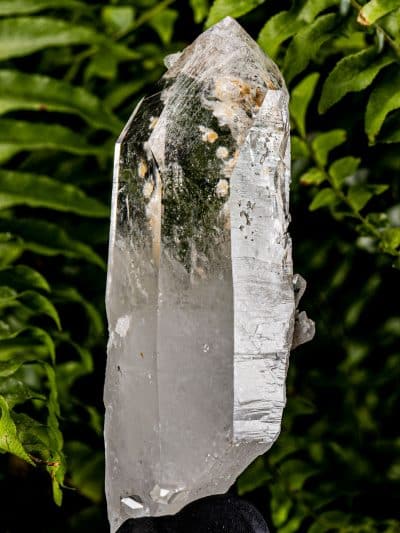 Colombian Silver Light Lemurian Seed Quartz Rainbow Starbrary Crystal With Babies On The Side