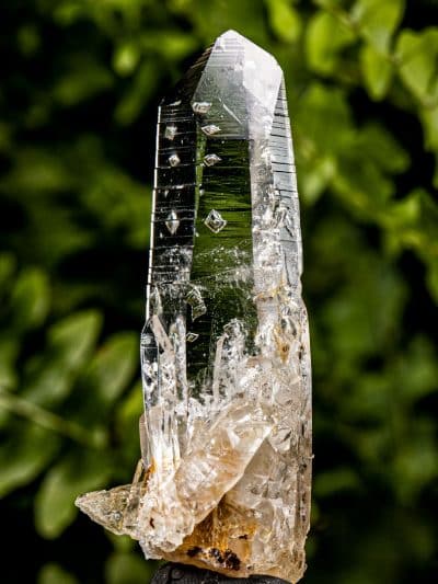 Colombian Laser Record Keeper Starbrary Silver Light Lemurian Seed Quartz Crystal