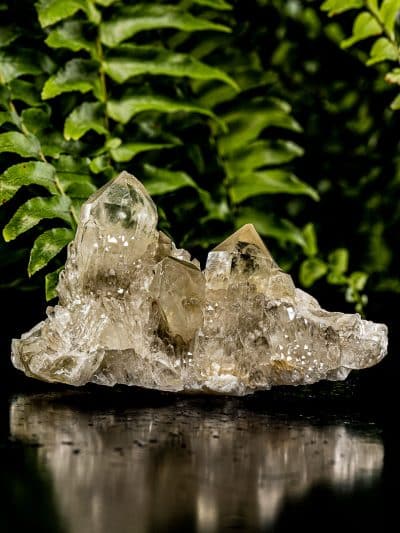 Natural Cascading Phantom Gold Heart Citrine Quartz Cluster