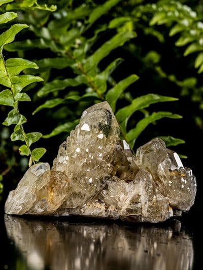 Natural Cascading Phantom Gold Heart Citrine Quartz Cluster