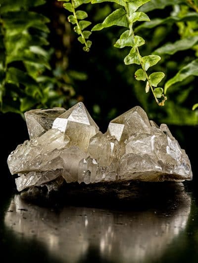 Natural Cascading Phantom Gold Heart Citrine Quartz Cluster