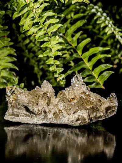 Natural Cascading Phantom Gold Heart Citrine Quartz Cluster