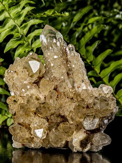 Natural Cascading Phantom Gold Heart Citrine Quartz Cluster