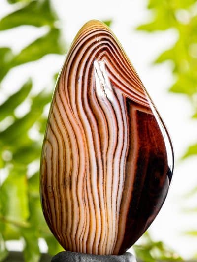 Polished Banded Agate Free Form- High Grade