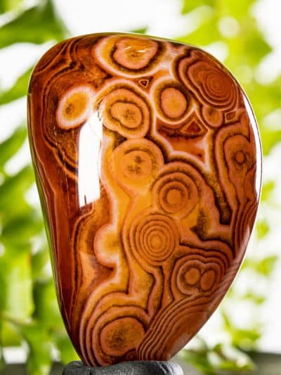 Polished Banded Agate Free Form- High Grade