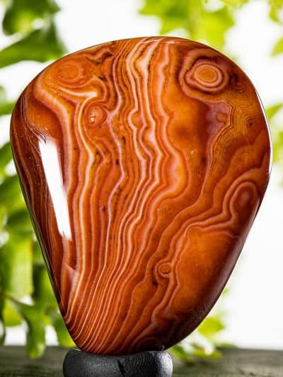 Polished Banded Agate Free Form- High Grade