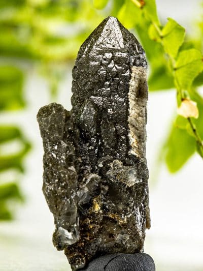 Mongolian Green Hedenbergite Included Etched Quartz Crystal