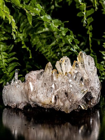 Natural Colombian Golden Healer Titanium Oxide Lemurian Seed Quartz Cluster
