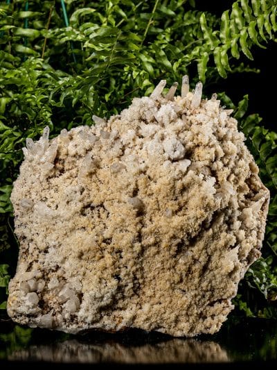 Large RARE New Zealand Pseudomorph Reverse Scepter Milky/Clear Flower Quartz Cluster