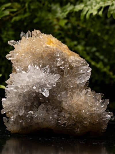 Chrysanthemum Quartz Crystal Flower Cluster