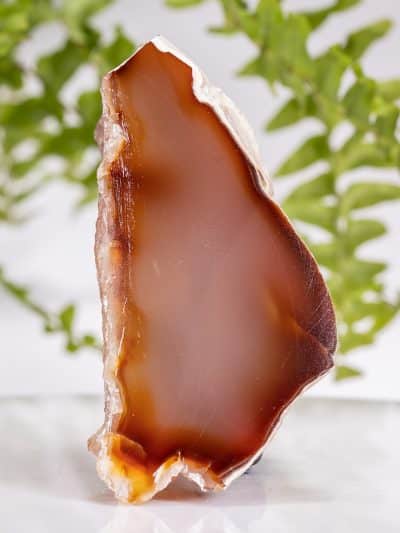 Polished New Zealand Carnelian With Velvet Calcite Free Form