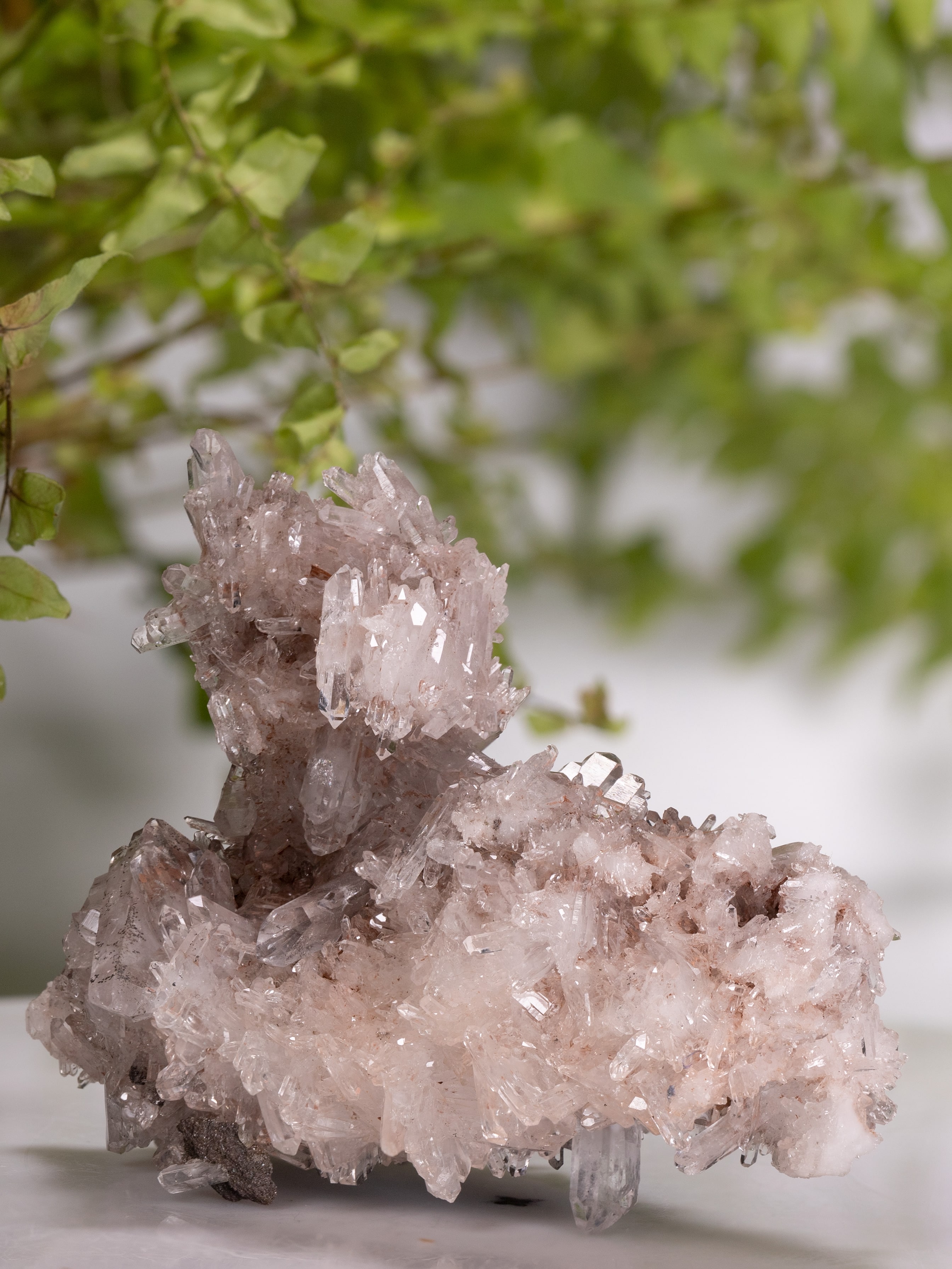 Colombian Sacred Rosé Pink Lithium Silver Light quartz cluster showing double terminated points and soft pink crystalline growth