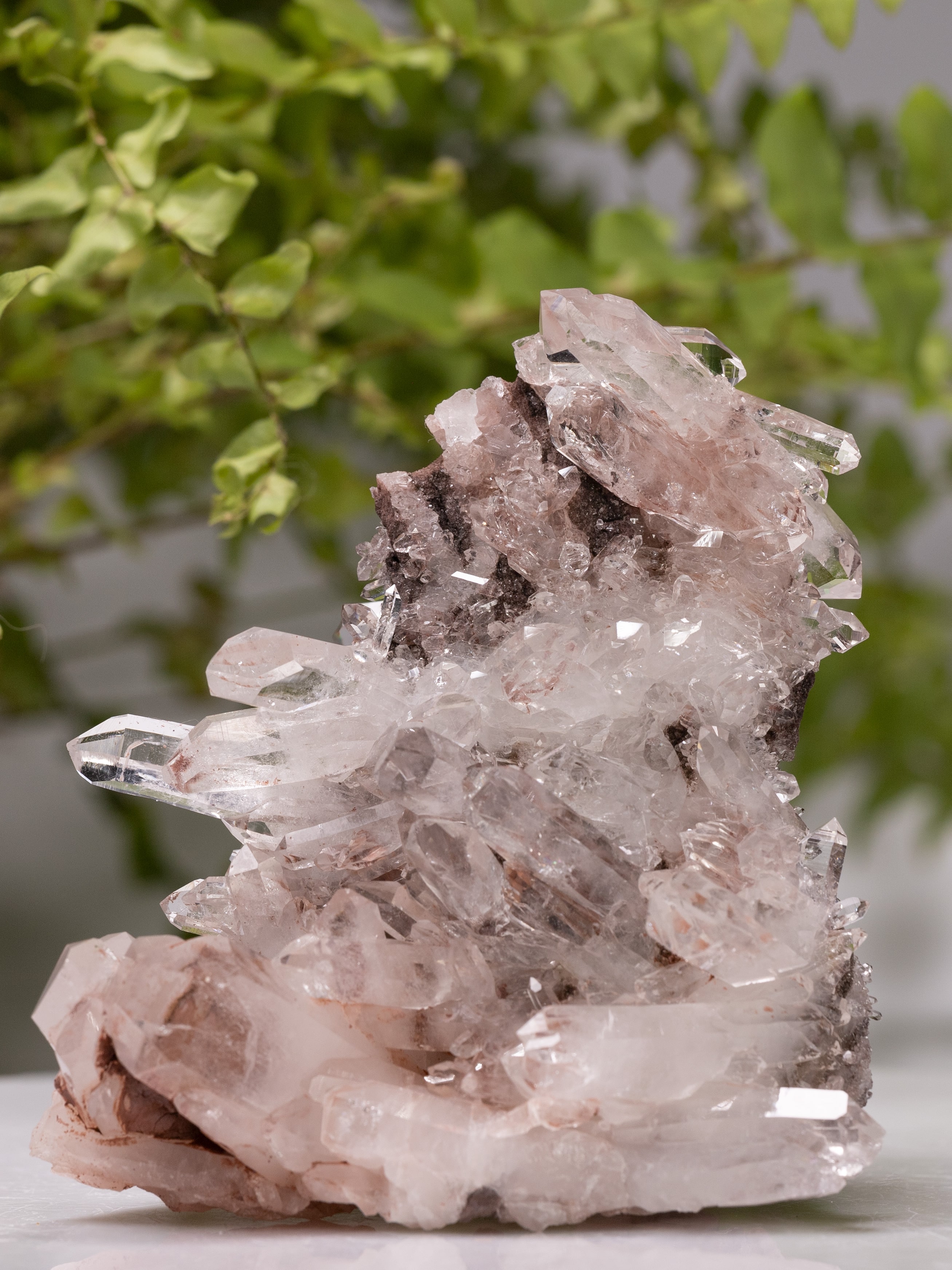 Standing Colombian Sacred Rosé Pink Lithium Silver Light quartz cluster with curved double terminated tabular points